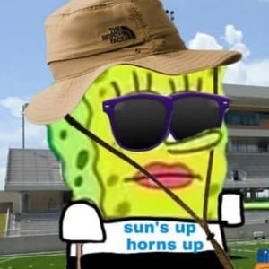 Meet your Posher, Sam